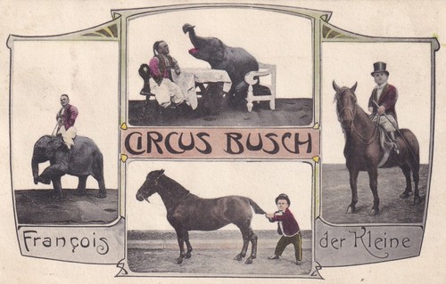 Zirkus busch 1908 francois - zirkus,