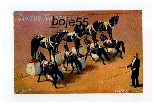 Zirkus circus busch - zirkus,