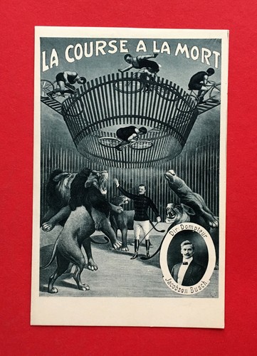 Zirkus 1910 dompteur - ak,